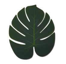 Load image into Gallery viewer, Palm leaf with no stem